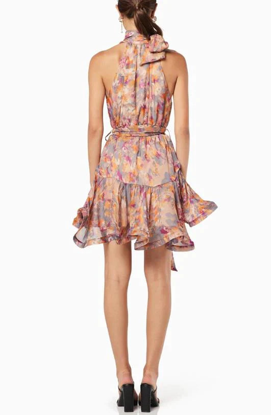 Aristocratic Dress