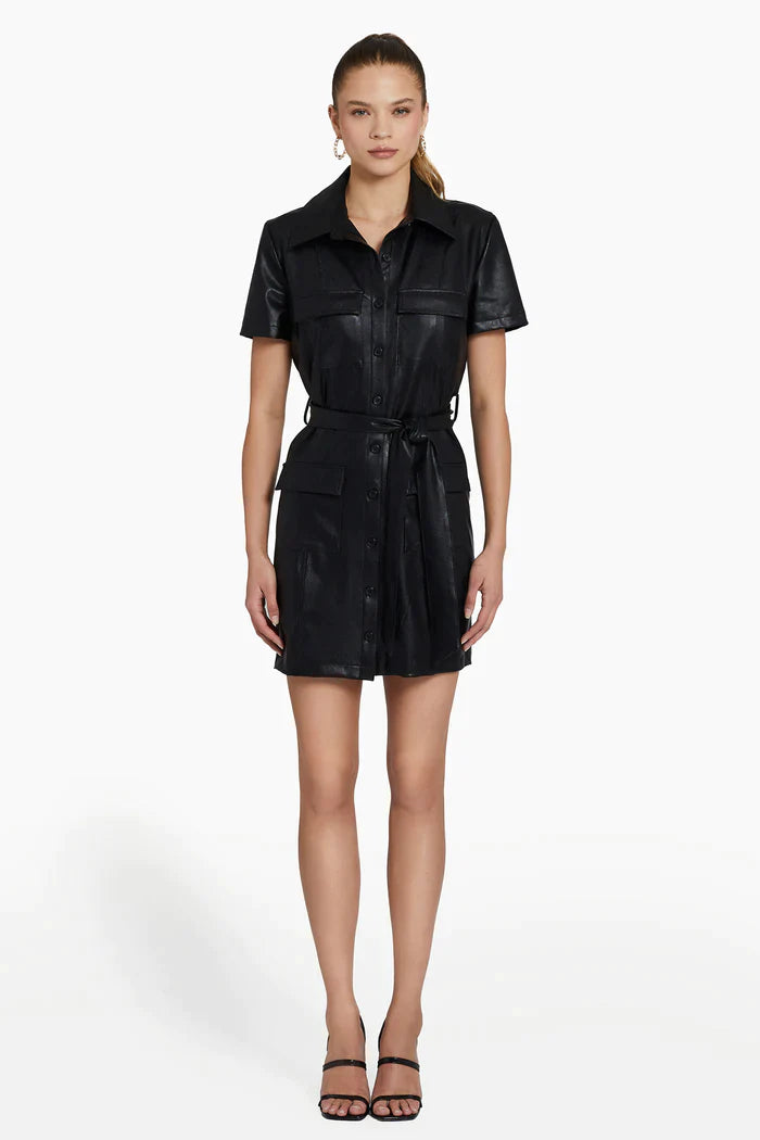 Short Sleeve Greyson Dress